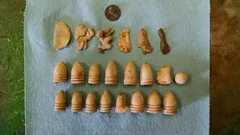 BULLET VARAITY.webp