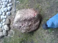 20140828_195612.webp