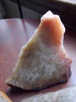 DSCN0723.webp