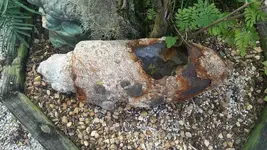 ImageUploadedByTreasureNet.com1432722781.351985.webp
