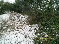 DSCF0001.webp