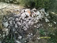 DSCF0010.webp