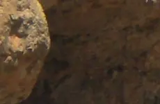 159 (2)crop2.webp