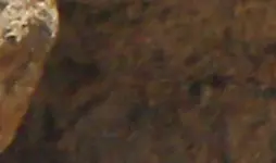 159 (2)crop3.webp
