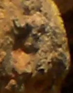159 (2)crop4.webp