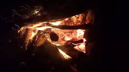 20150411_231447.webp