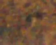 159 (2)crop5.webp