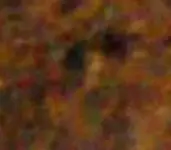 159 (2)crop6.webp