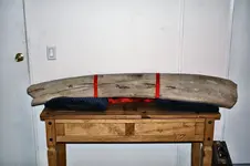 baleen.webp