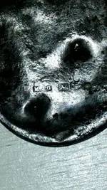 CM150521-22092304.webp