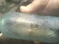 150527_026.webp