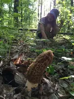 image-3739141571.webp
