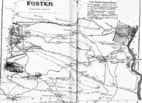 foster.webp