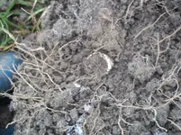 100_3438.webp