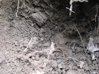 Colonial Homestead  foundation1cc.webp