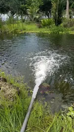 flow.webp