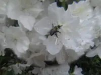0507150917.webp
