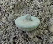 DSCN0804.webp