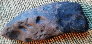 f new fish.webp
