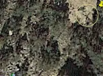 shadowman1.webp