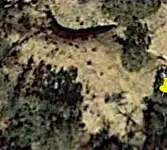 shadowman2.webp