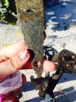 IMG-20150518-WA000.webp