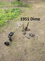 Park finds 015.webp