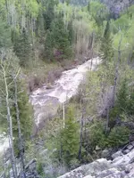 11131851_10153299653842856_186712187_n.webp