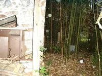 DSCF0009.webp