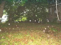 DSCF0010.webp