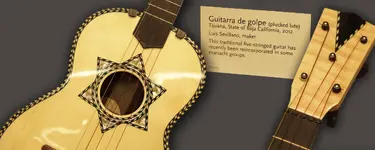 5-string-plucked-lute.webp