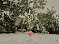 mothers day snow.webp