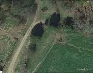 Farm1.webp