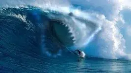 ImageUploadedByTreasureNet.com1435464684.956469.webp