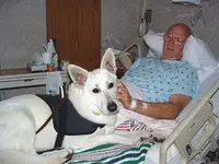 ImageUploadedByTreasureNet.com1431267909.943546.webp