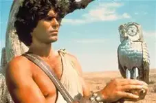 owl.webp