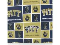pitt.webp