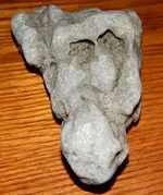DSCN0311.webp