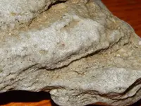 DSCN0313.webp