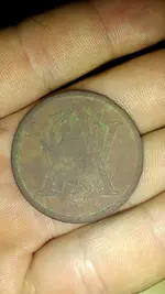 1434648004764.webp