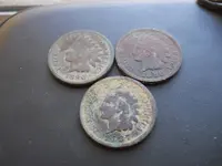 DSCN1517.webp