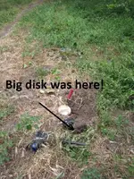 Park Finds 5-16-15 002.webp