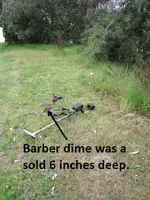 Park Finds 5-16-15 005.webp