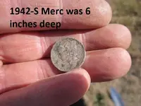 Park Finds 5-16-15 009.webp