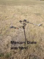 Park Finds 5-16-15 010.webp