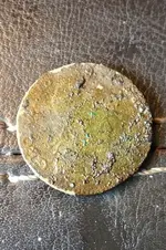 ImageUploadedByTreasureNet.com1435507411.741403.webp