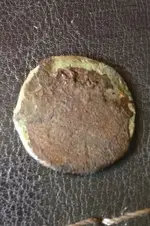 ImageUploadedByTreasureNet.com1435507449.216851.webp