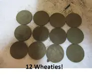 3rd group of park finds 001.webp