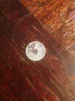 ImageUploadedByTreasureNet.com1432339067.697704.webp