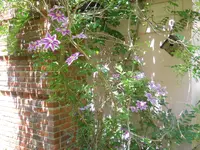 DSCN2266.webp DSCN2266.webp